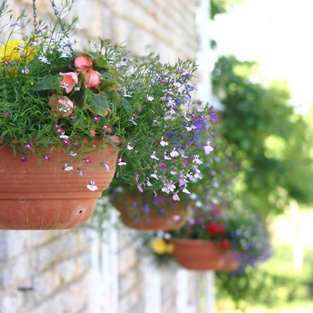Crossways Otel Wells Dış mekan fotoğraf Flower pots